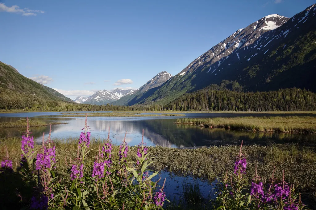 Scenic view from the Seward Highway in the Chugach National Forest. Original image from Carol M. Highsmith’s America, Library of Congress collection. Digitally enhanced by rawpixel.