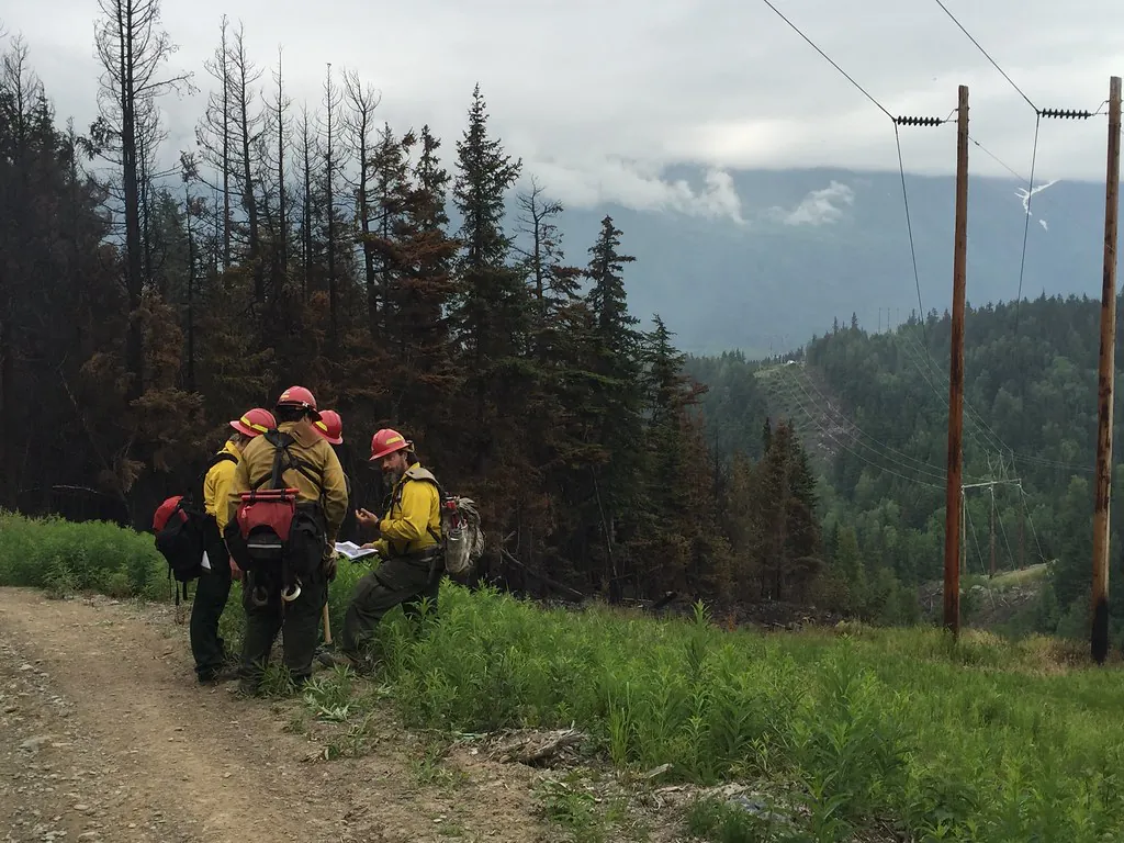 Chugach Crew checking Stetson Creek Fire perimeter (Chugach National Forest by Graham Predeger)