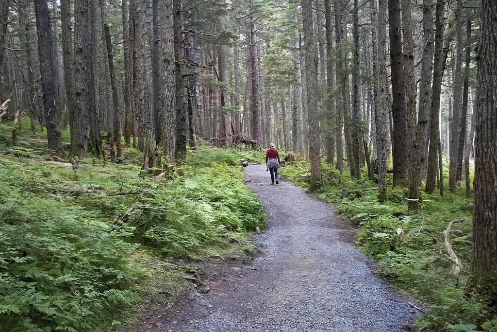 Chugach National forest - Girdwood Alaska