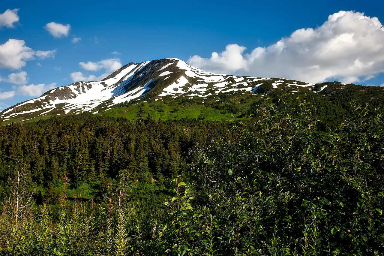chugach national forest, alaska, landscape, scenic, snowcap, sky, clouds, wilderness, nature, outdoors, forest, trees, woods, valley, beautiful, travel, vacation, holiday, picturesque